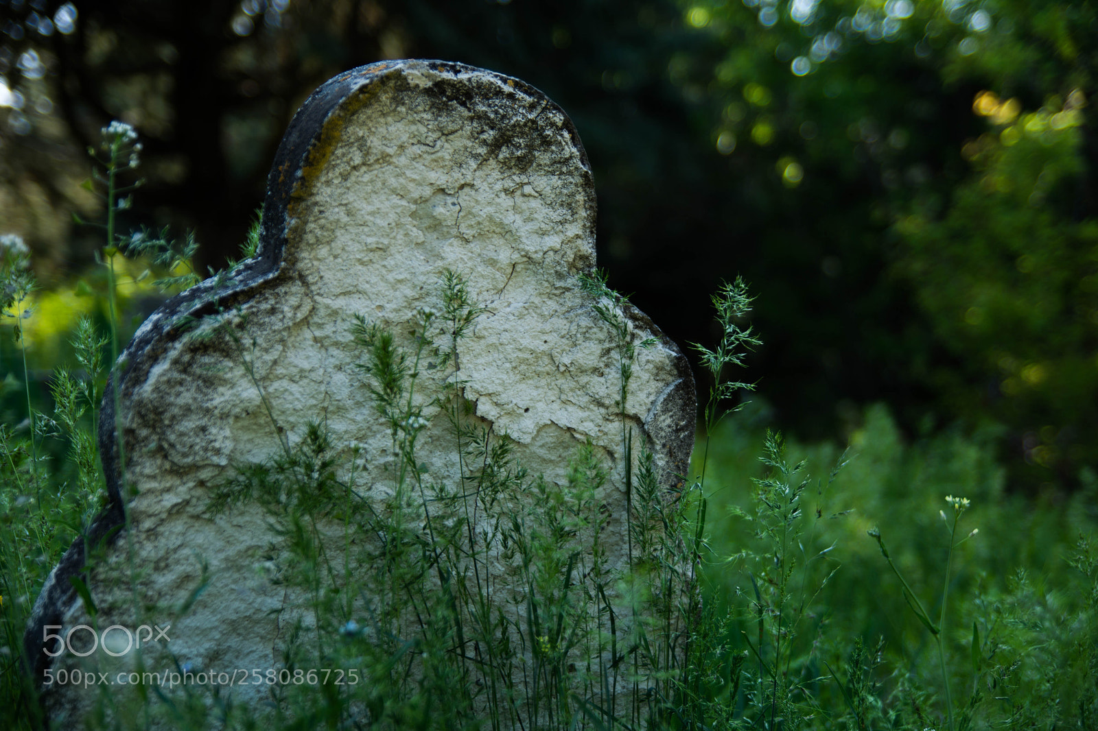 Nikon D7200 sample photo. Bahar photography