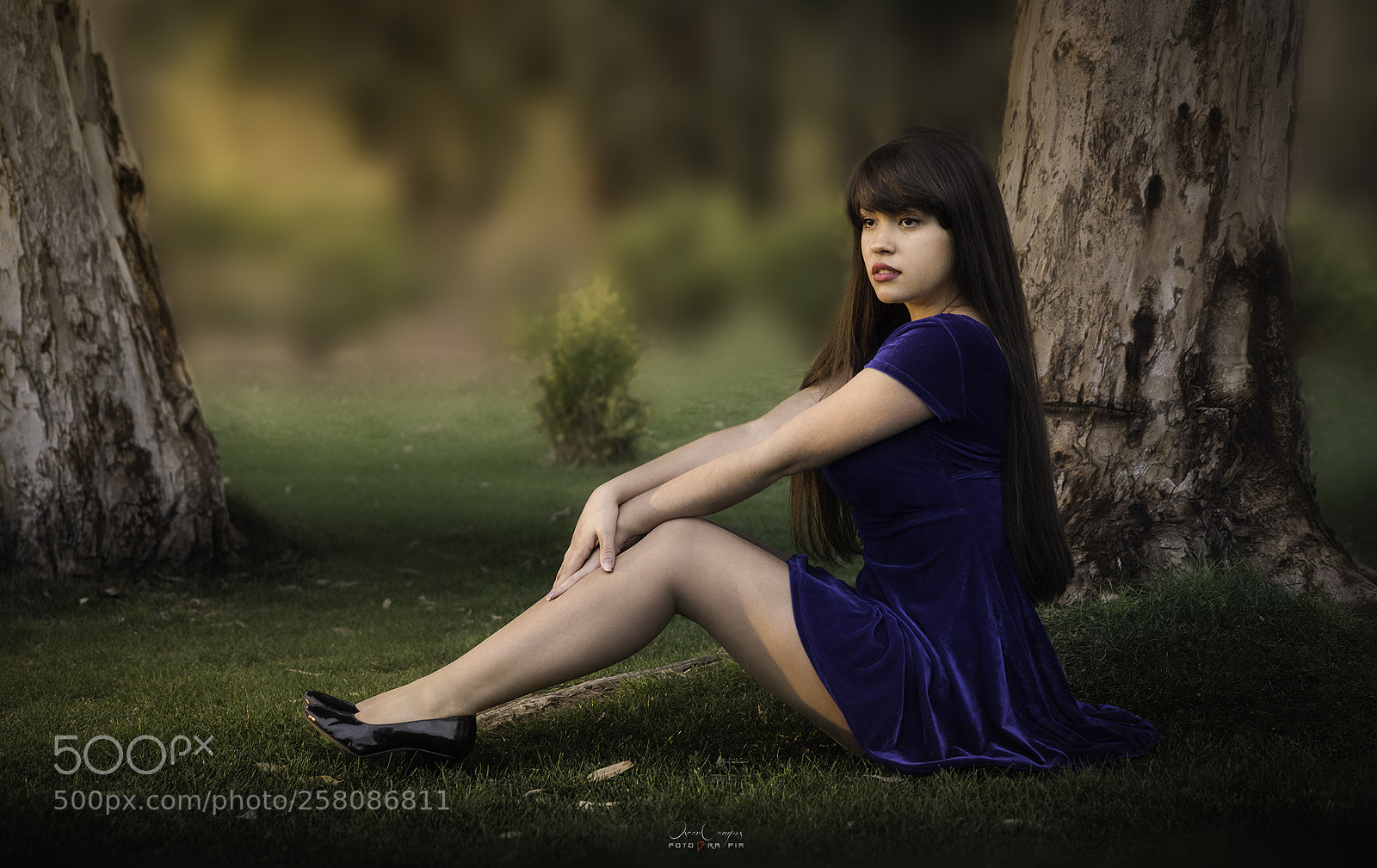 Nikon D810 sample photo. Adri atc photography