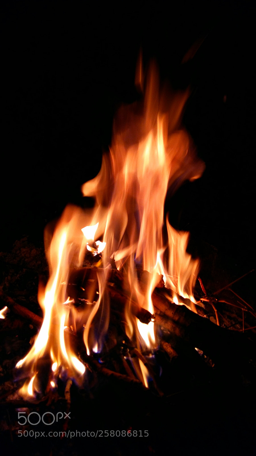Samsung Galaxy A5 sample photo. Untitled photography