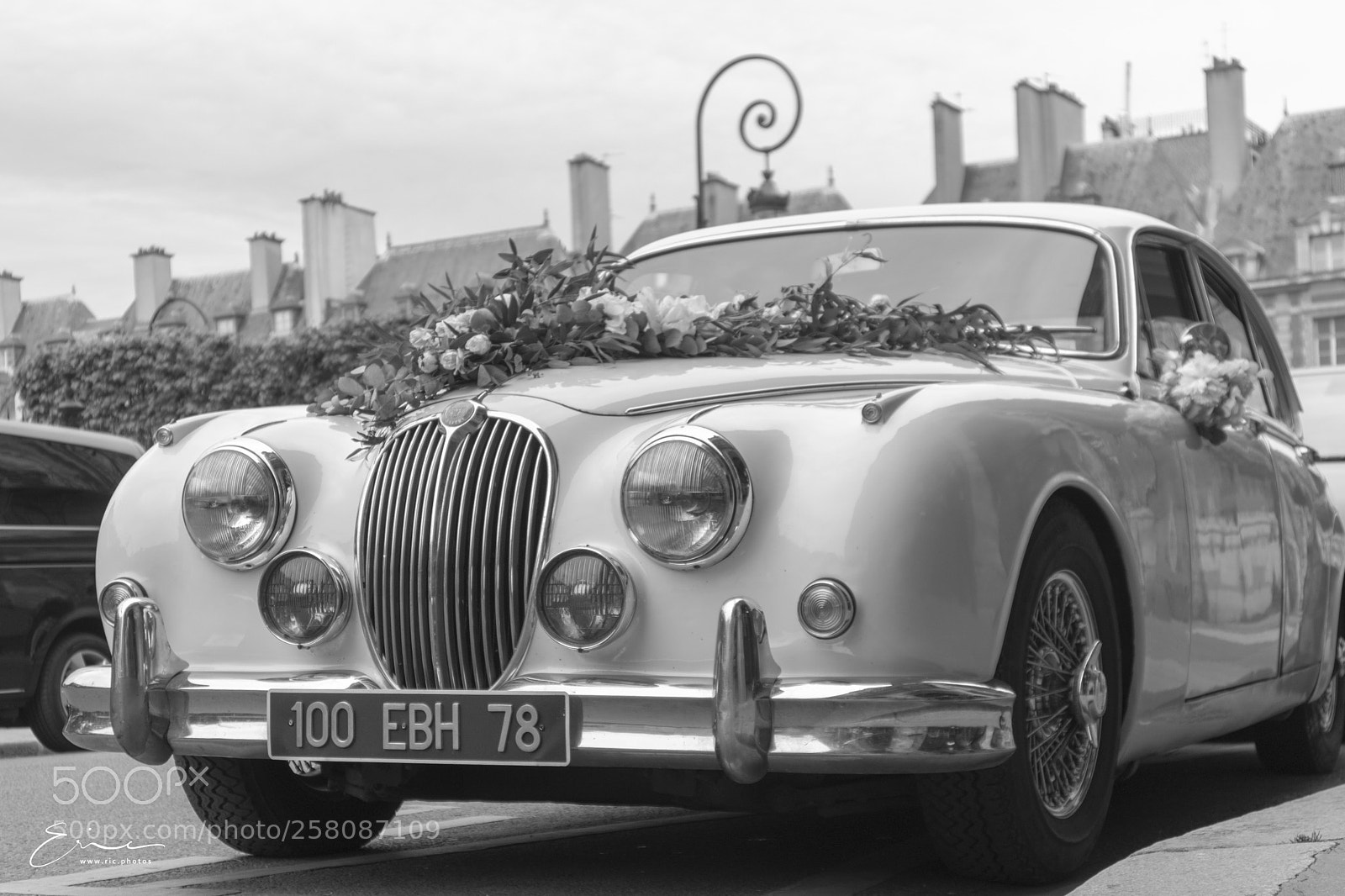 Canon EOS M5 sample photo. Jaguar photography