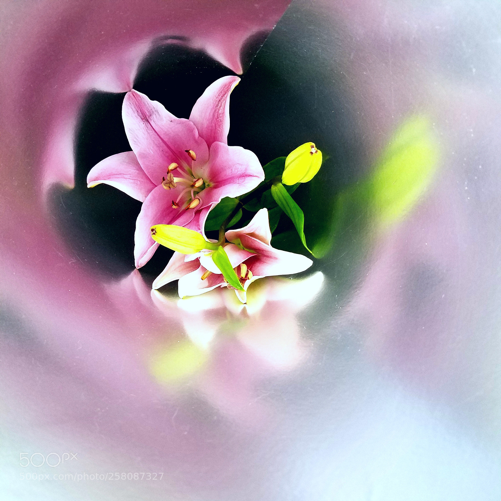 Samsung Galaxy S7 Edge sample photo. Pink lily photography