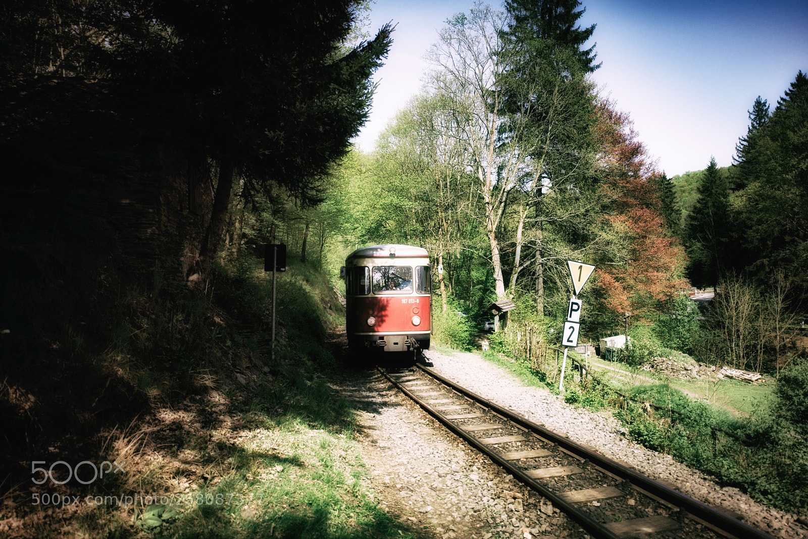 Nikon D610 sample photo. Harz train photography