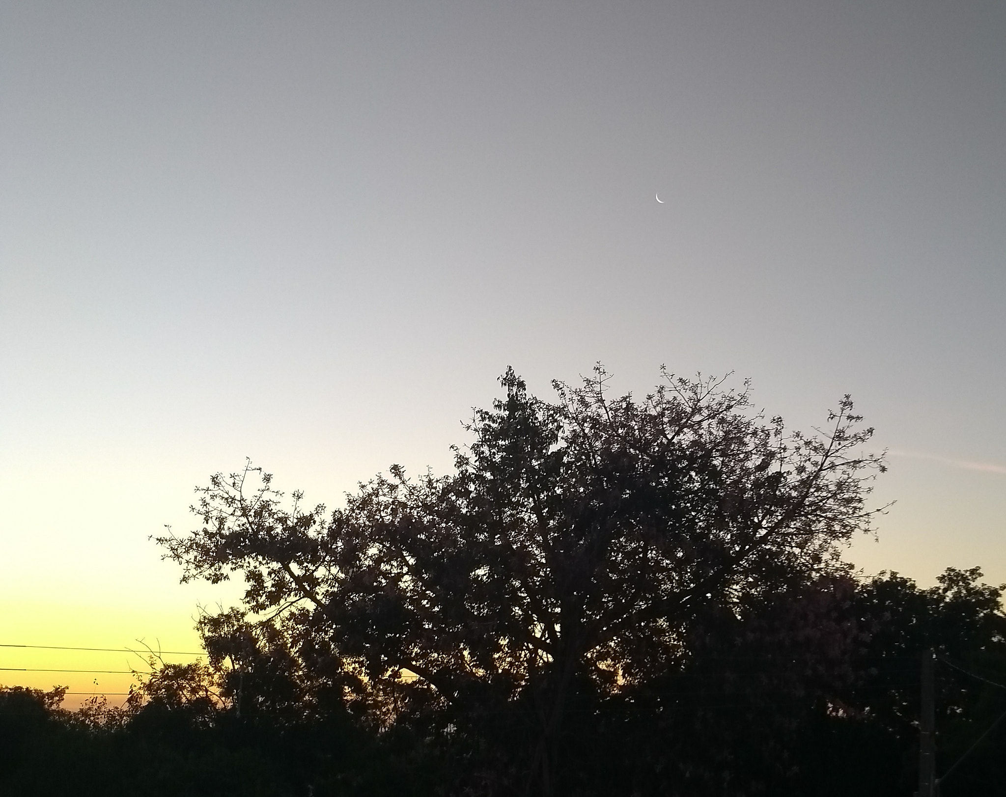 Motorola Moto G (5S) sample photo. Moon🌙 photography