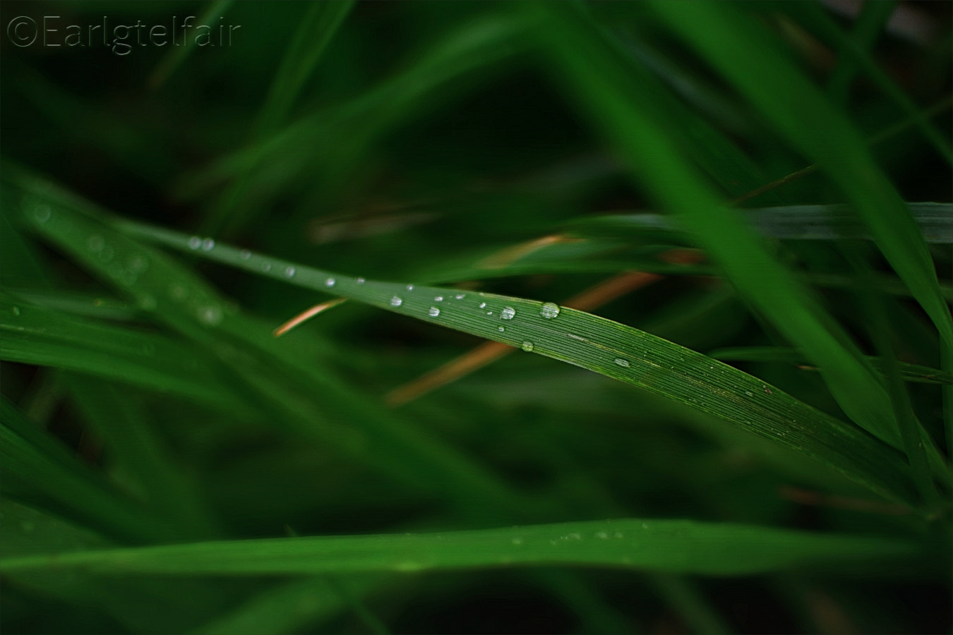 Nikon D5300 + Nikon AF-S DX Nikkor 35mm F1.8G sample photo. A simple song photography