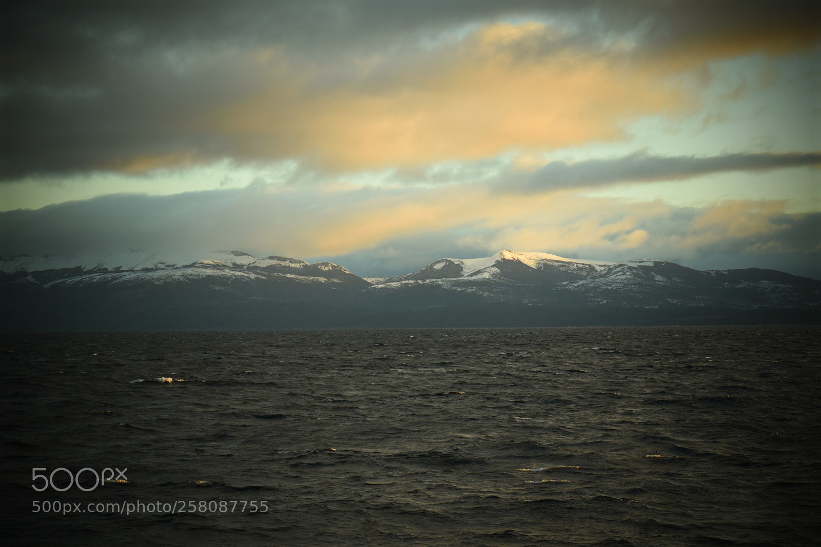Nikon D5600 sample photo. Magellan strait photography