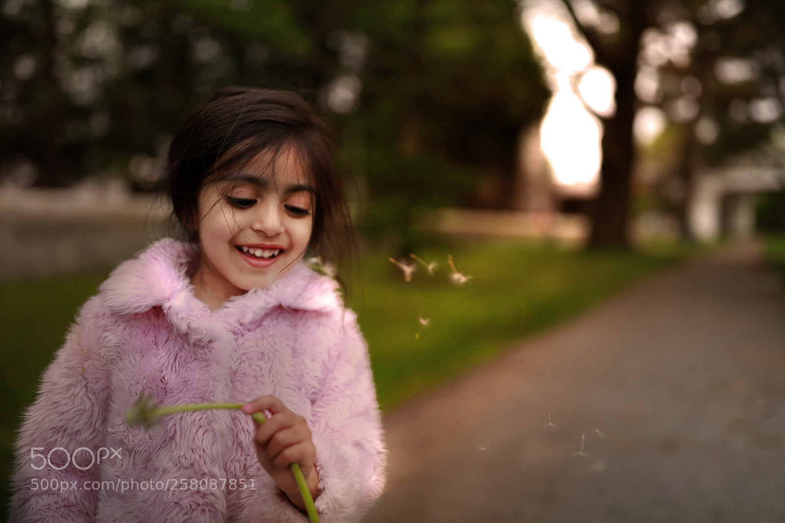 Canon EOS 5DS R sample photo. Img_8013-01.jpg photography