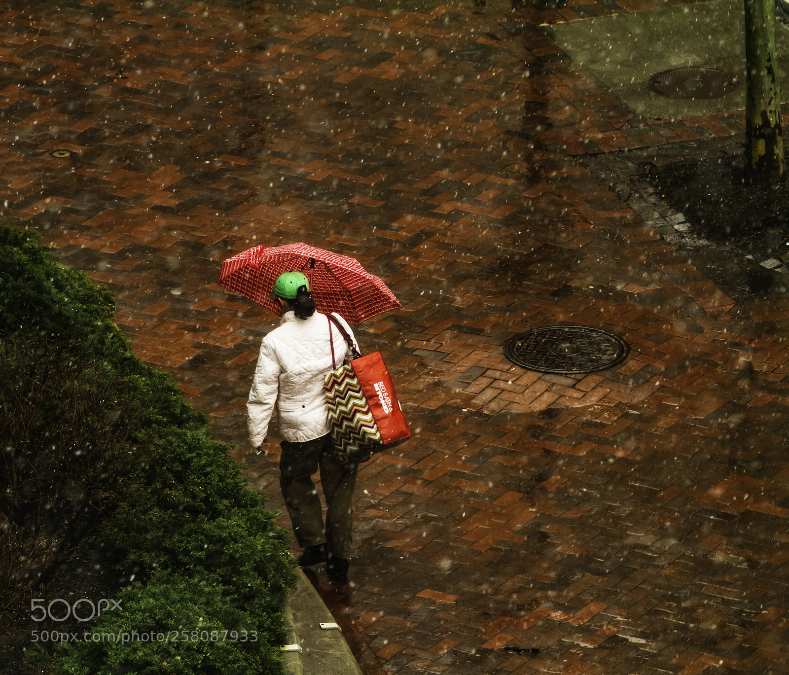 Canon EOS 7D sample photo. A walk in the photography
