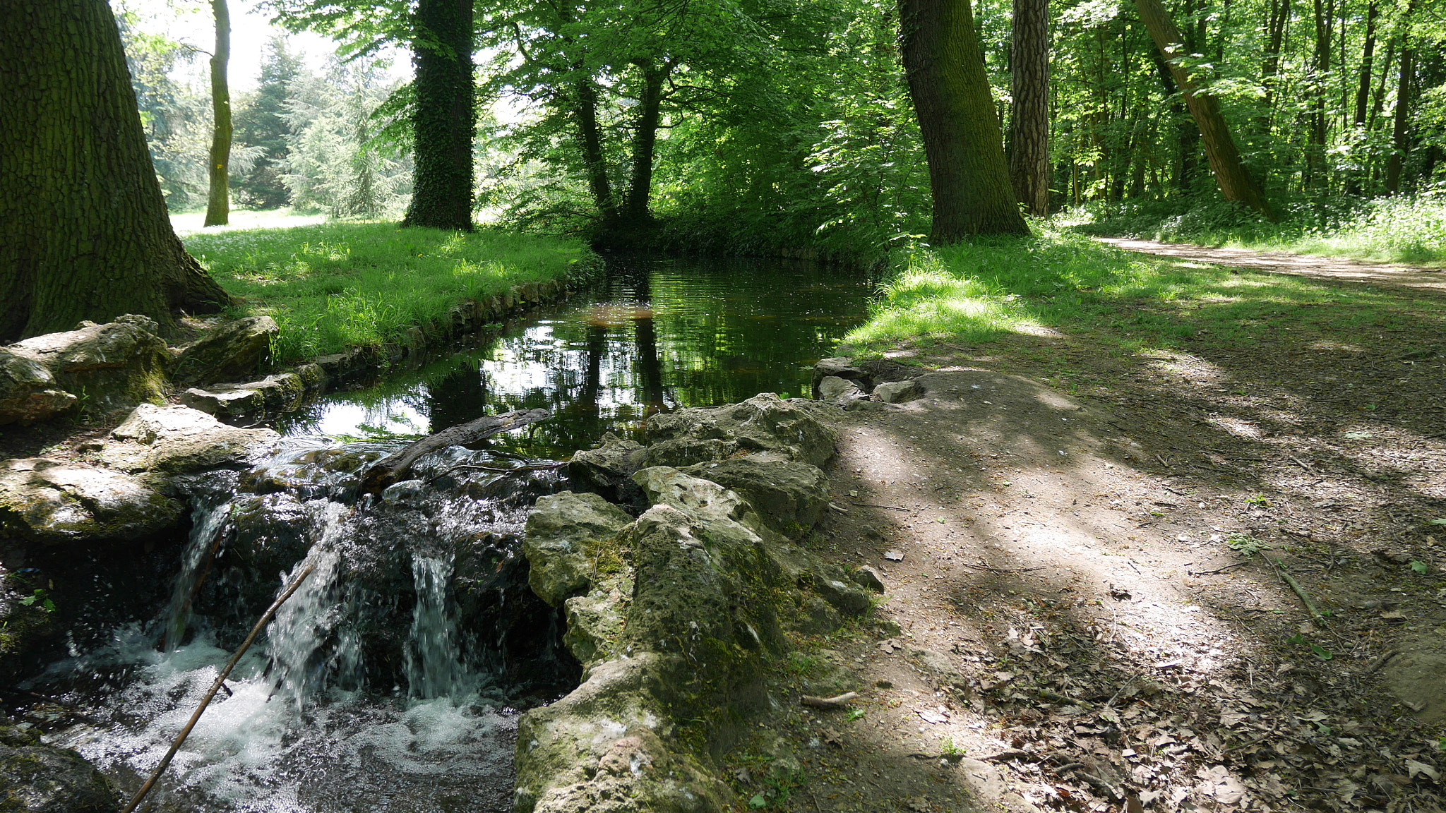 Panasonic Lumix DMC-GM1 sample photo. "bois de boulogne" photography