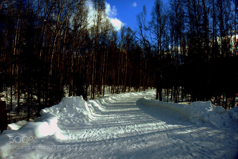 Sony Alpha a5000 (ILCE 5000) sample photo. Spring snow photography