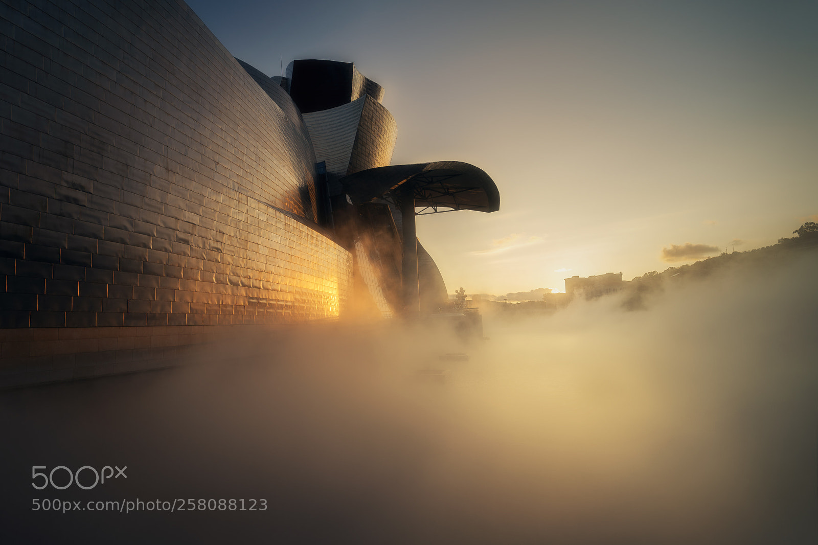 Sony a7 II sample photo. Foggenheim photography