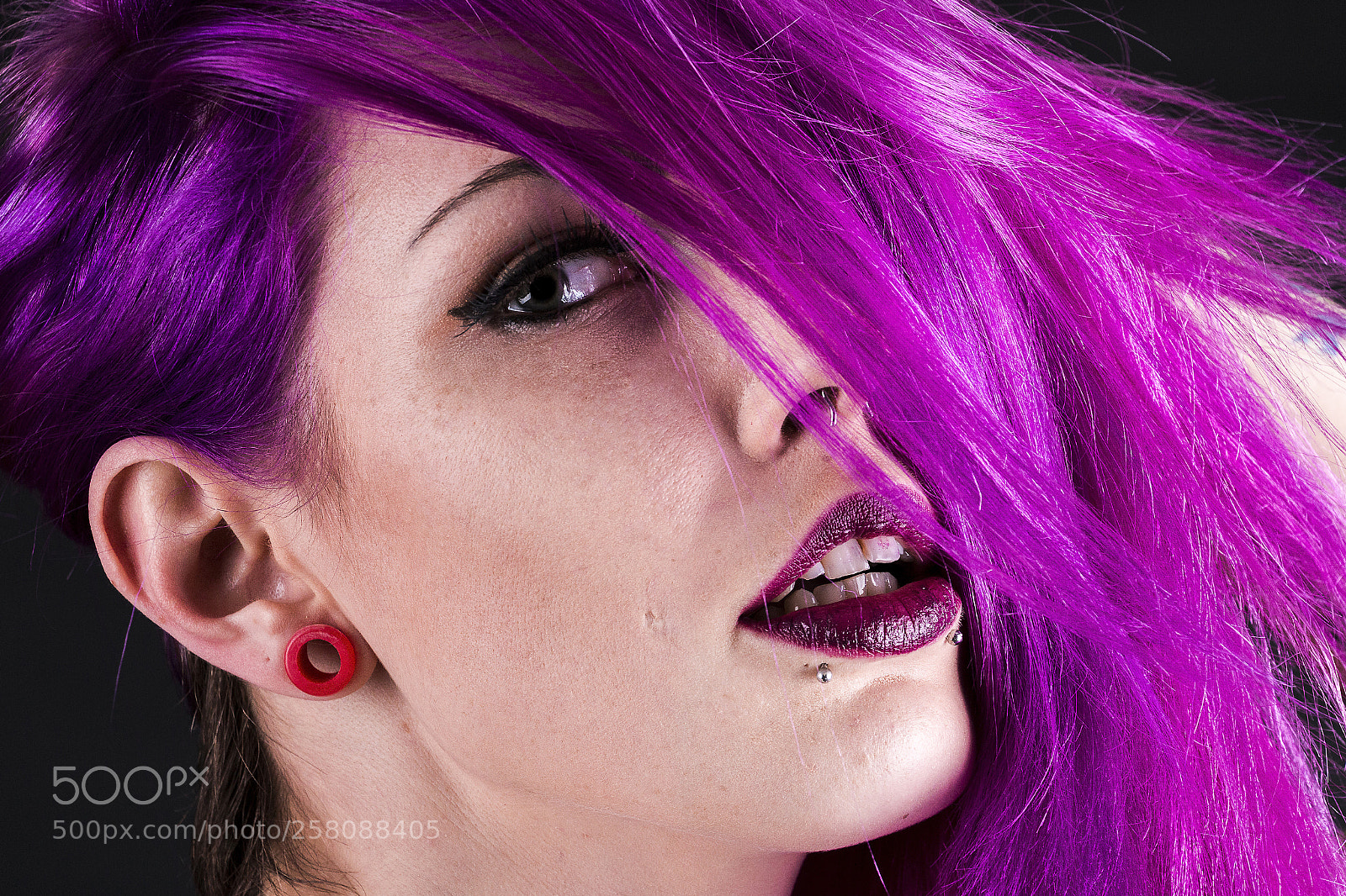 Canon EOS 70D sample photo. Purple allure photography