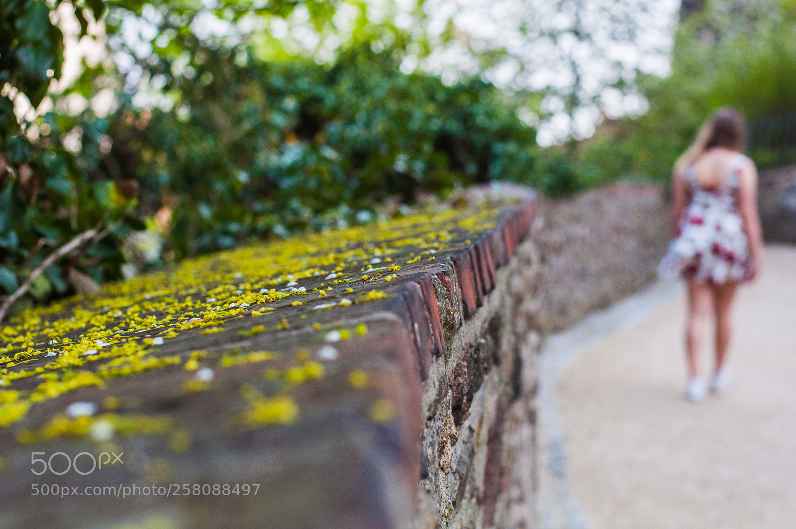 Nikon D5000 sample photo. Untitled photography