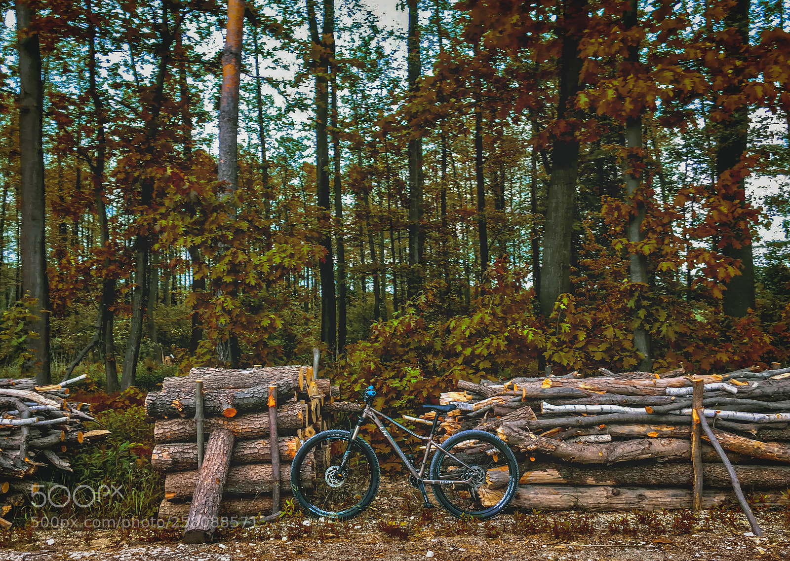 Apple iPhone 6s sample photo. Bike trip without camera photography