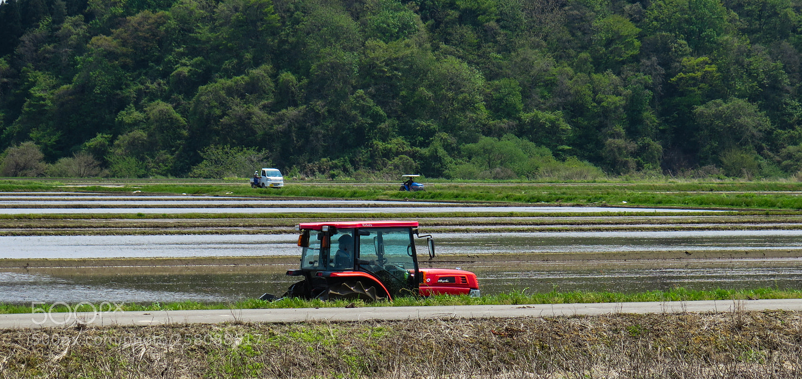 Canon PowerShot G16 sample photo. Rice planting photography