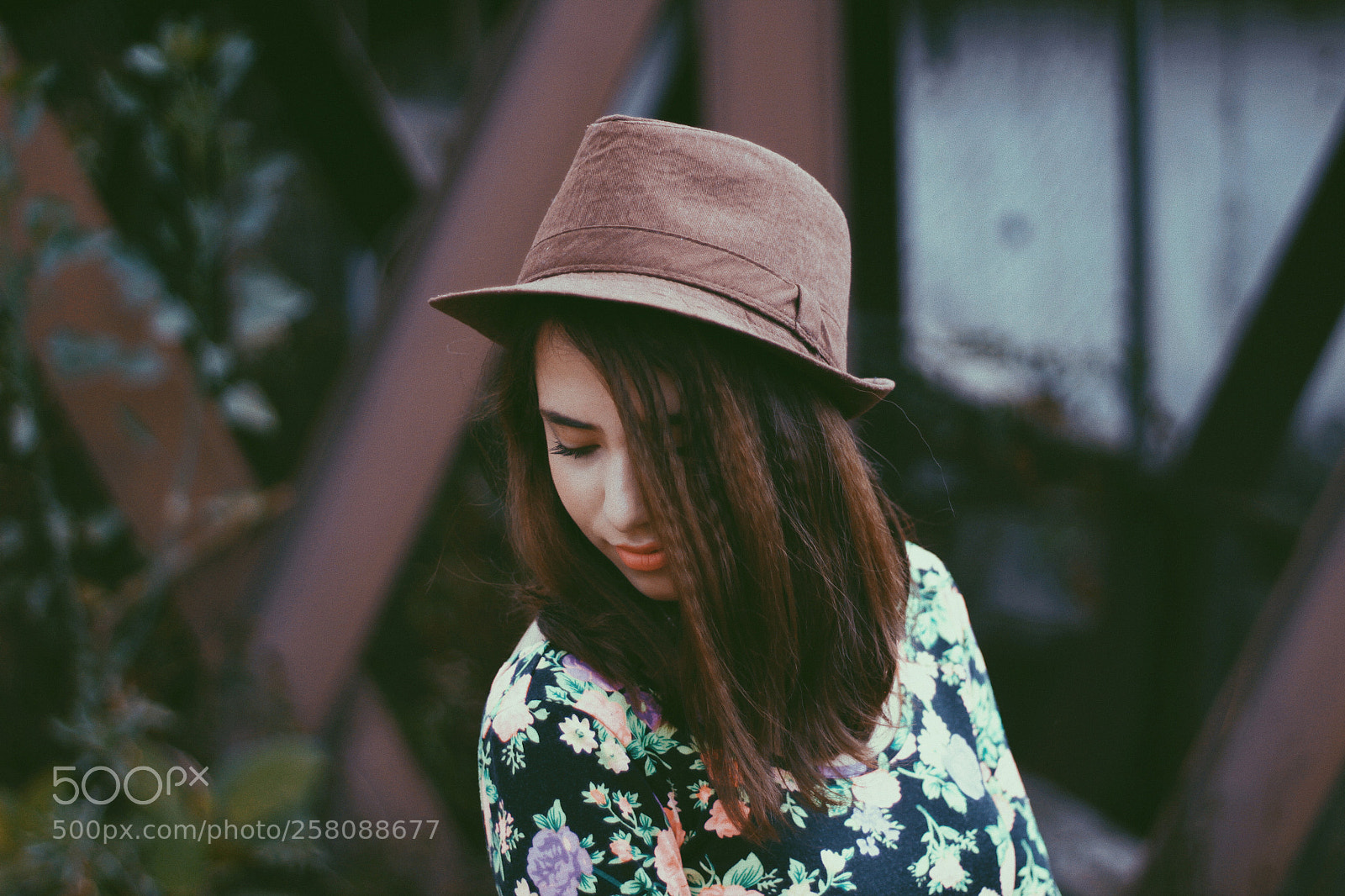 Canon EOS 1200D (EOS Rebel T5 / EOS Kiss X70 / EOS Hi) sample photo. Processed with vsco with photography