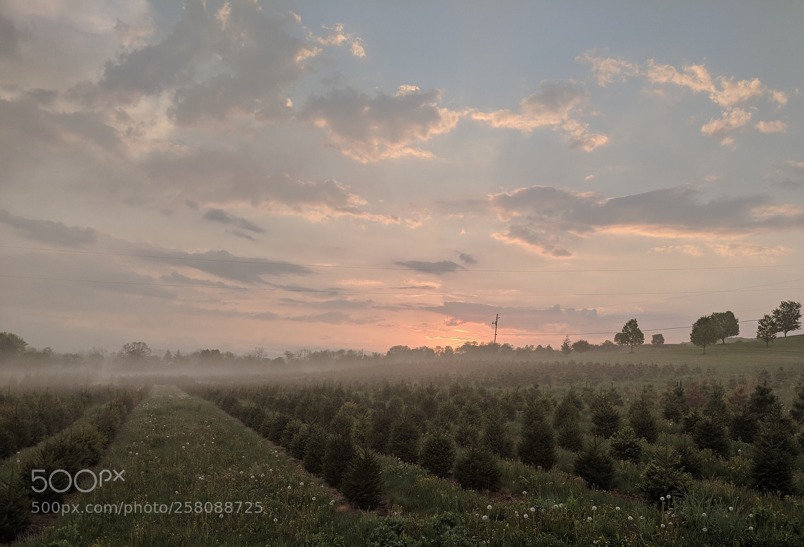 Google Pixel 2 sample photo. Sunrise on the farm photography