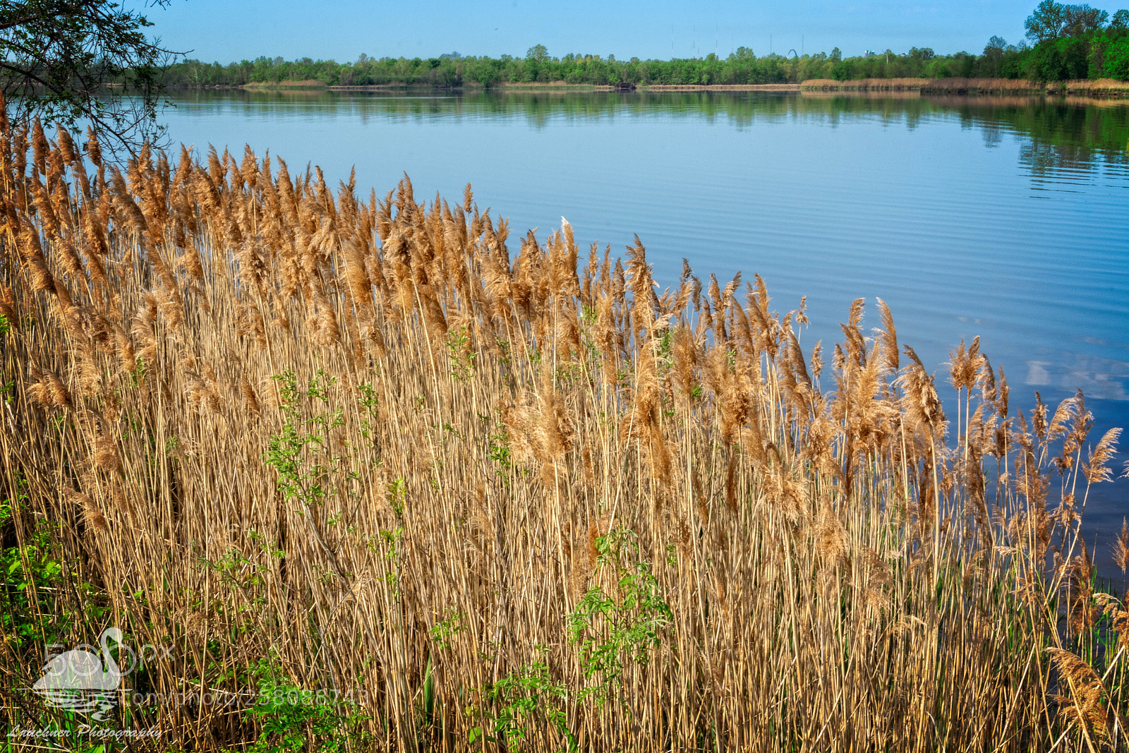 Nikon D5200 sample photo. Lake shore photography