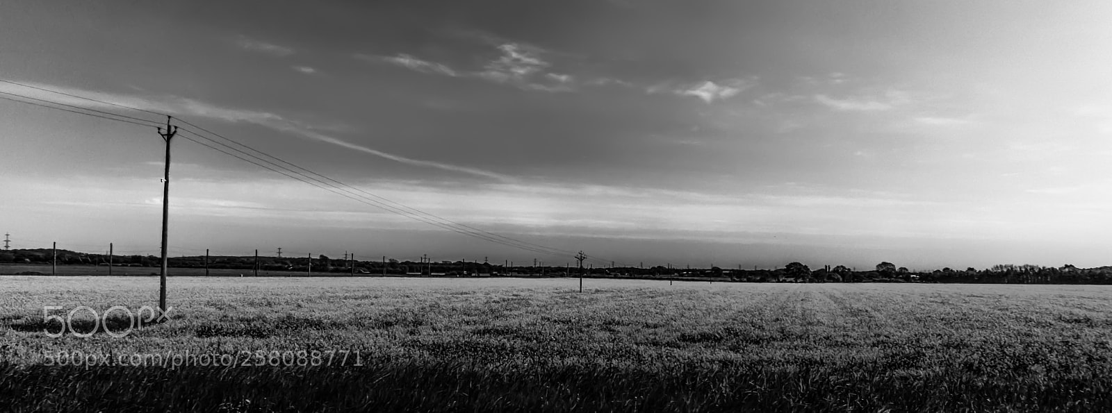 Sony a6000 sample photo. Run photography