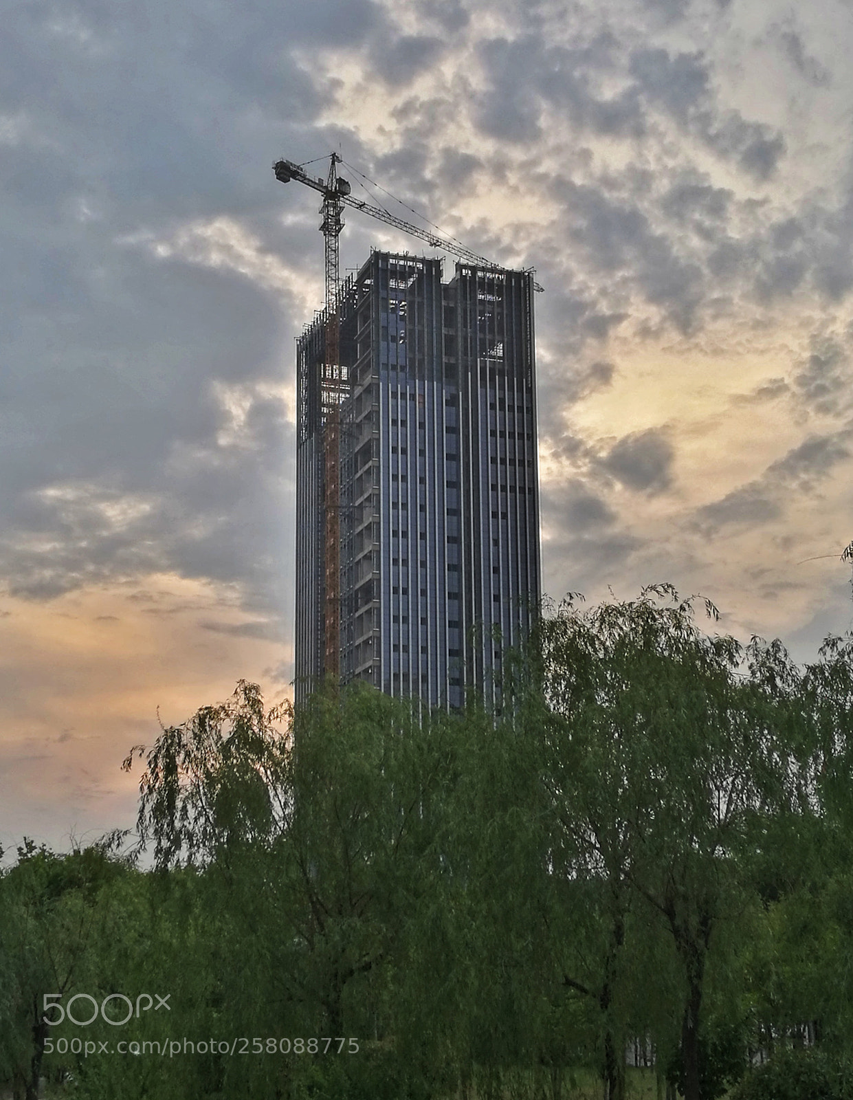 HUAWEI P9 sample photo. Untitled photography