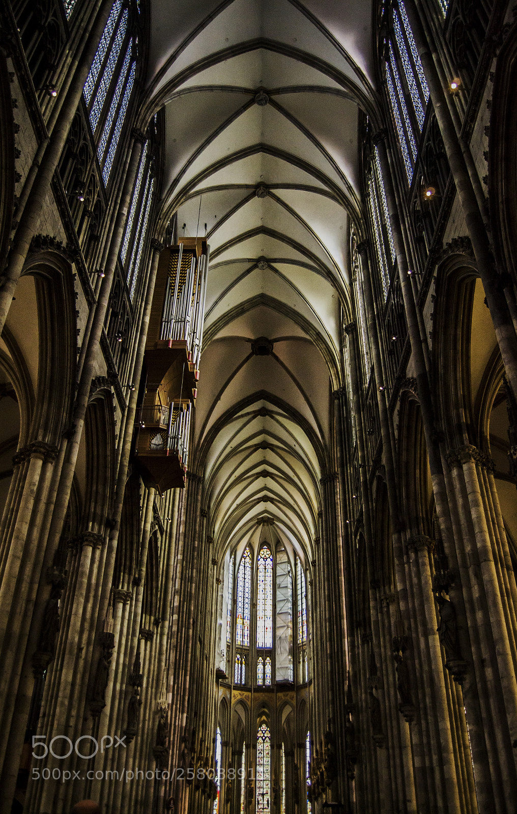 Nikon D3100 sample photo. Vertical pray photography