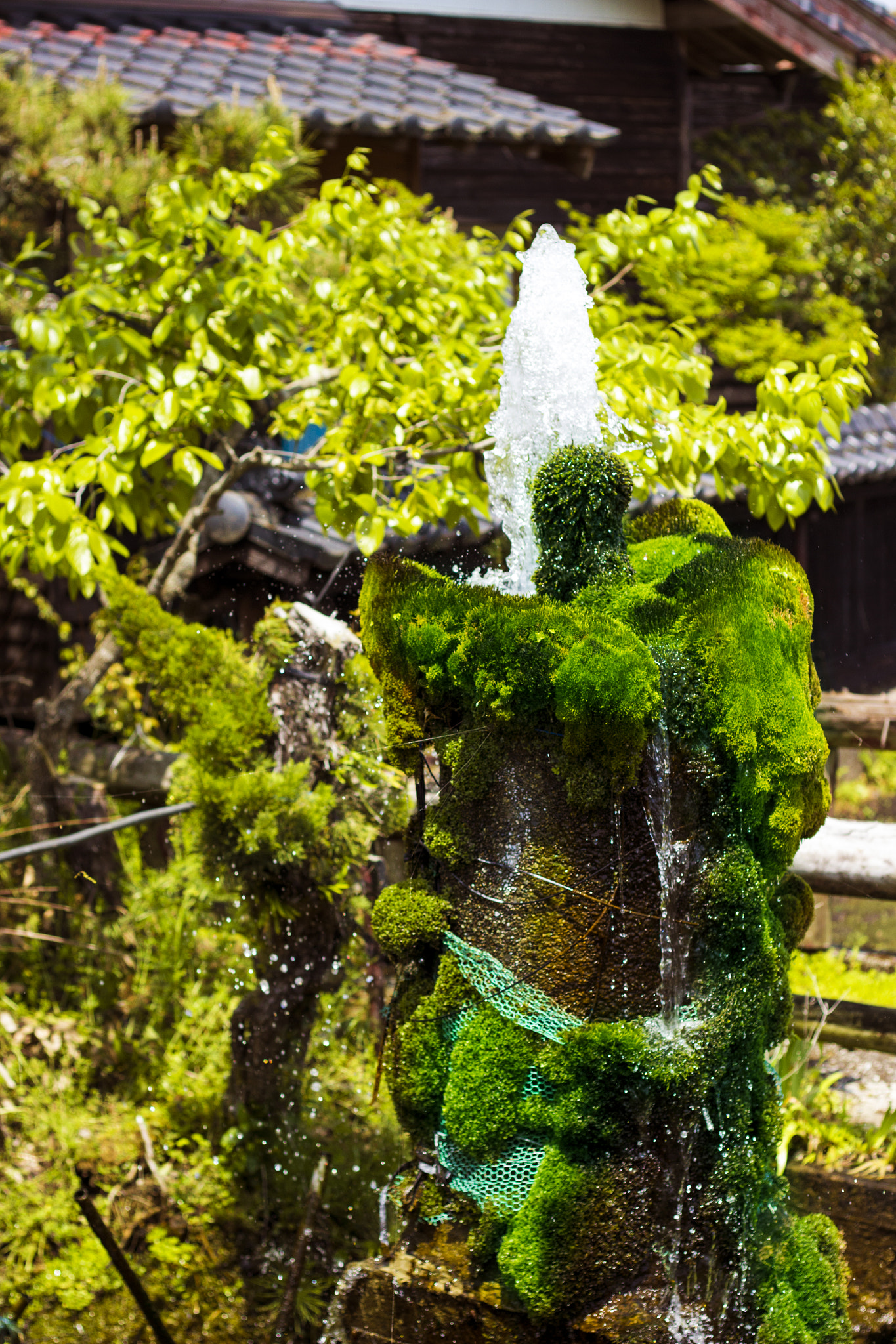 Canon EOS 600D (Rebel EOS T3i / EOS Kiss X5) sample photo. 湧水 spring photography