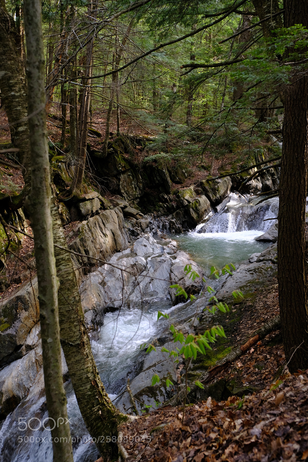 Fujifilm X-T2 sample photo. Honey hollow falls photography