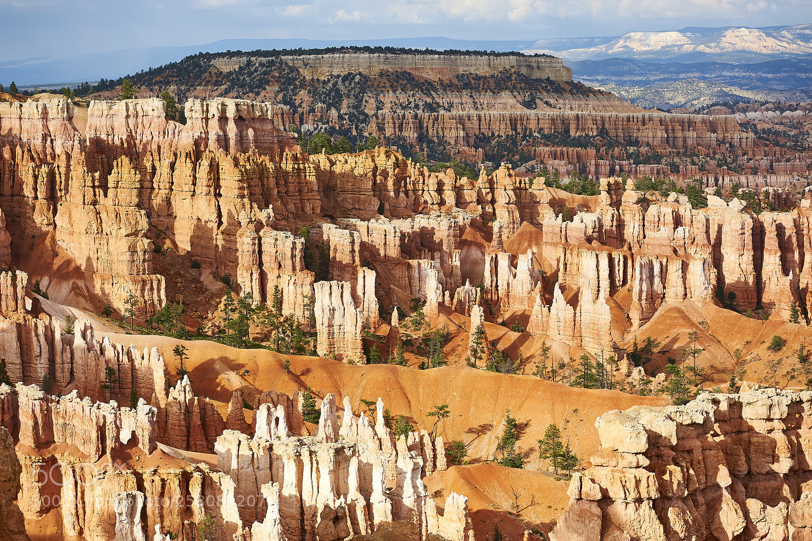 Nikon D700 sample photo. Bryce canyon photography