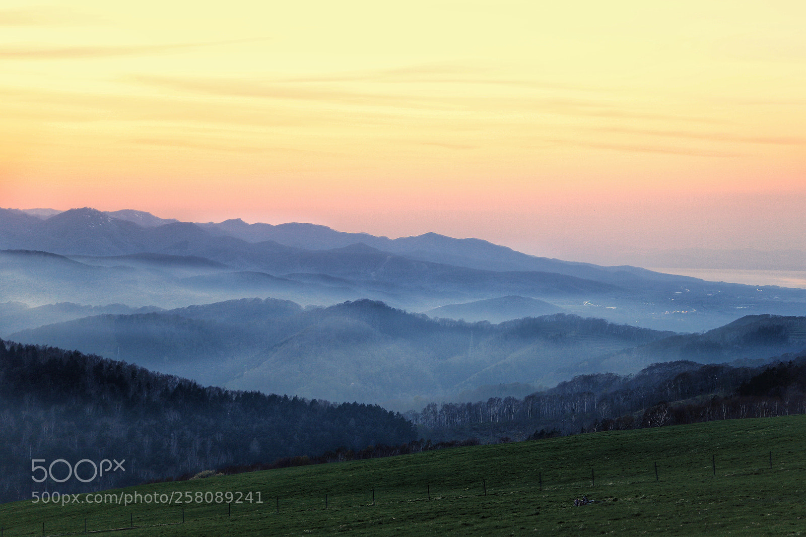 Canon EOS 6D Mark II sample photo. Untitled photography