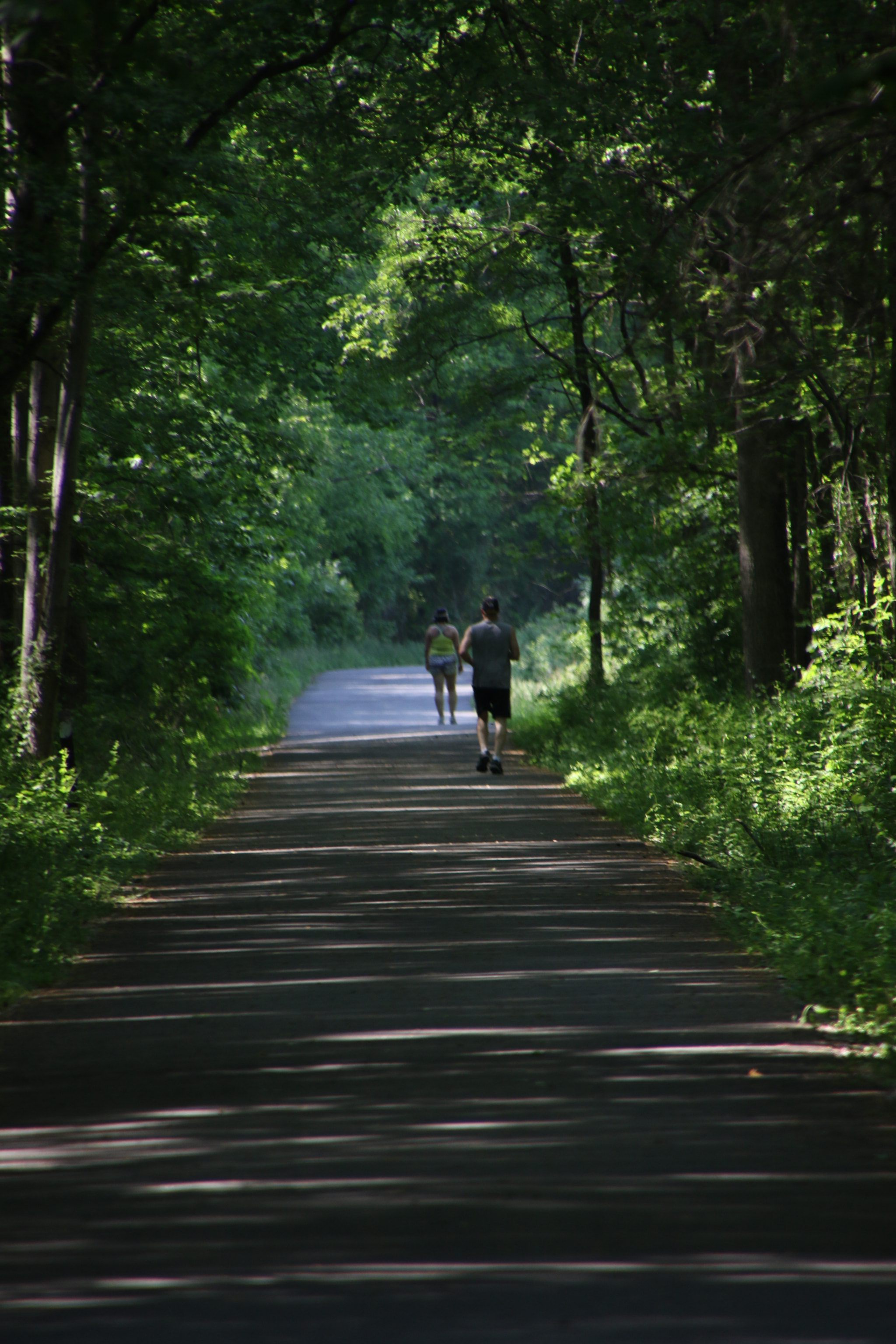 Canon EOS 7D Mark II sample photo. Going home photography