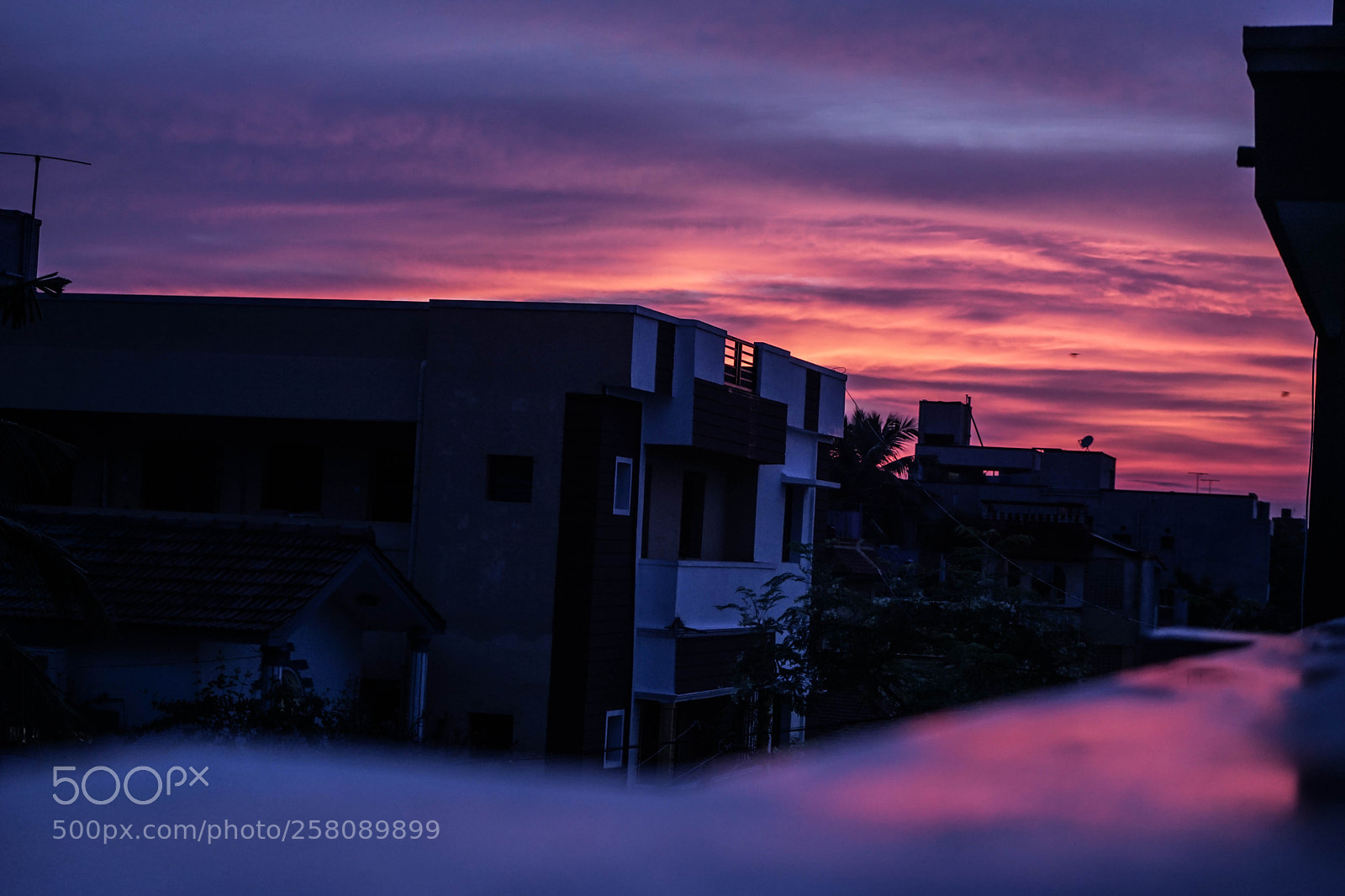 Sony a7 II sample photo. The illuminating sunset photography