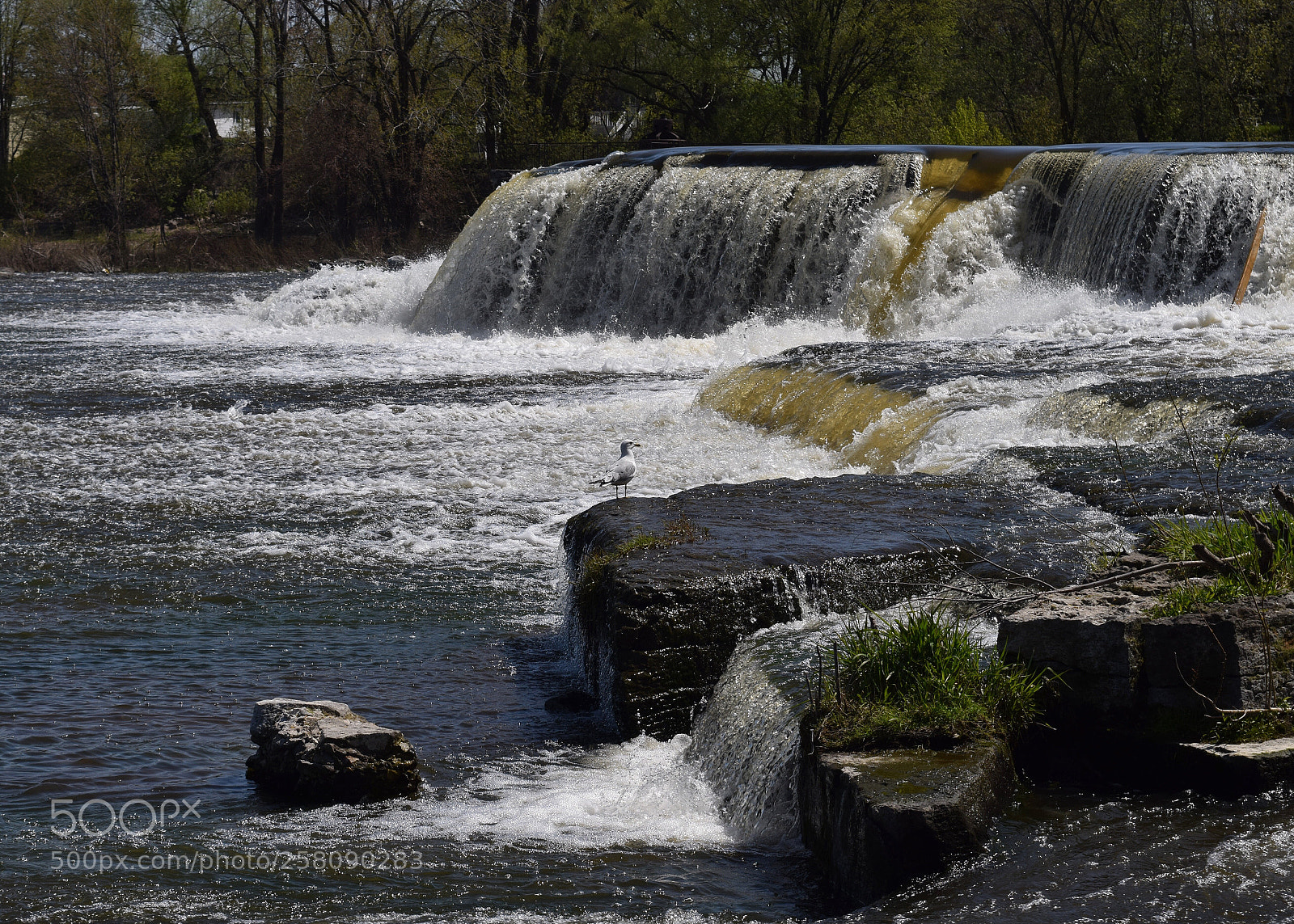 Nikon D5300 sample photo. Untitled photography