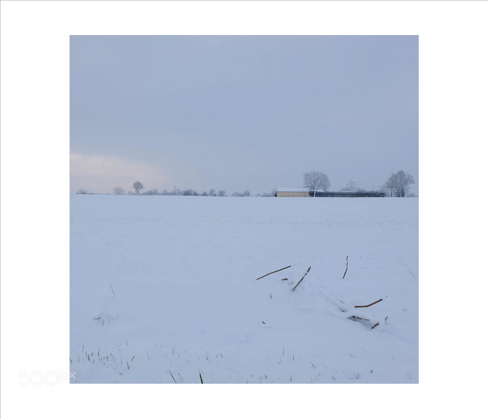 Fujifilm X-M1 sample photo. Snow photography