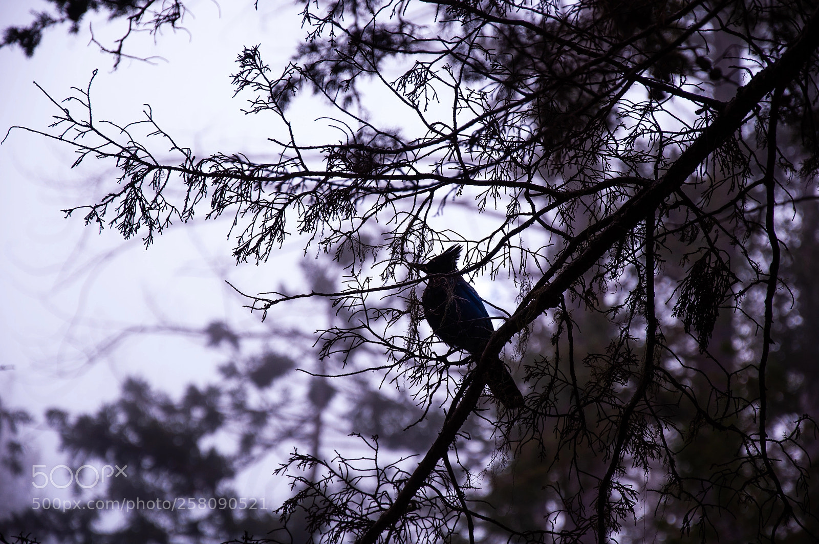 Nikon D90 sample photo. [] photography