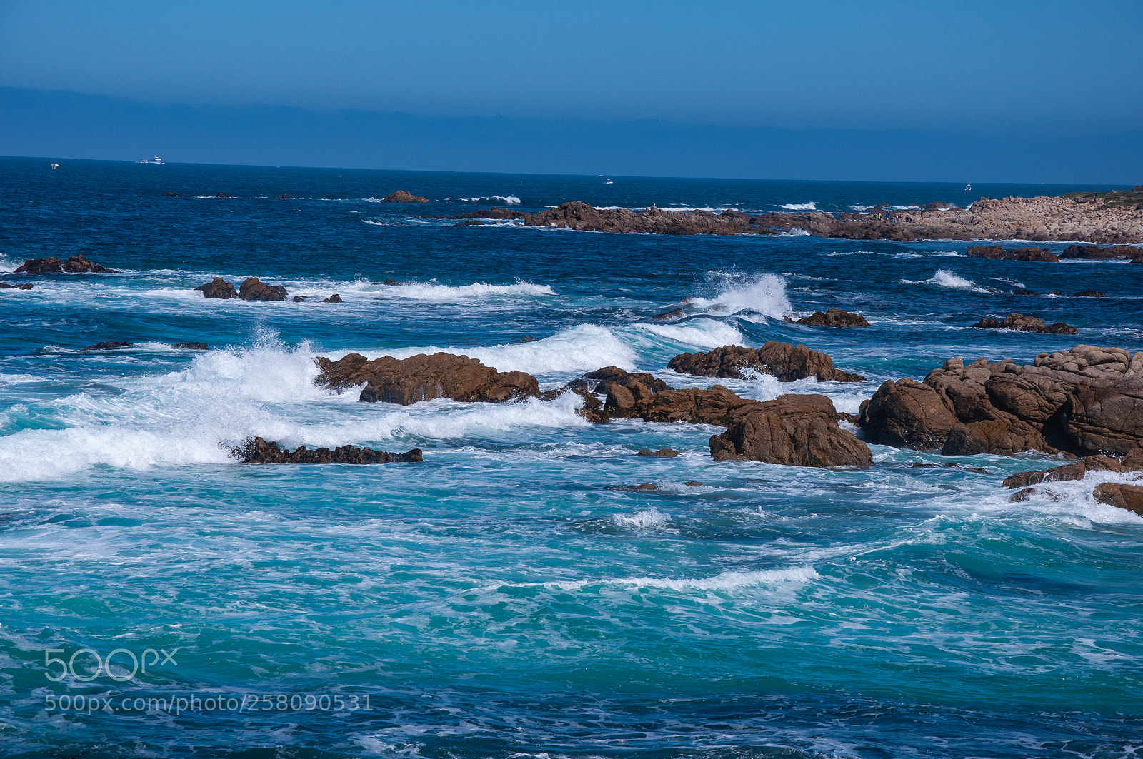 Nikon D90 sample photo. [] photography