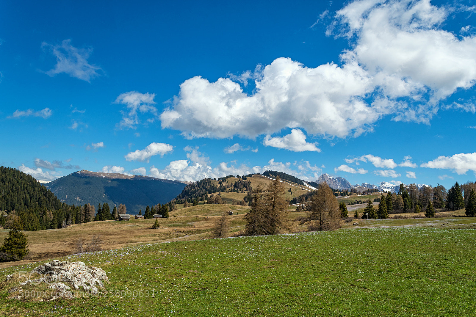 Nikon D500 sample photo. Alpe di siusi photography