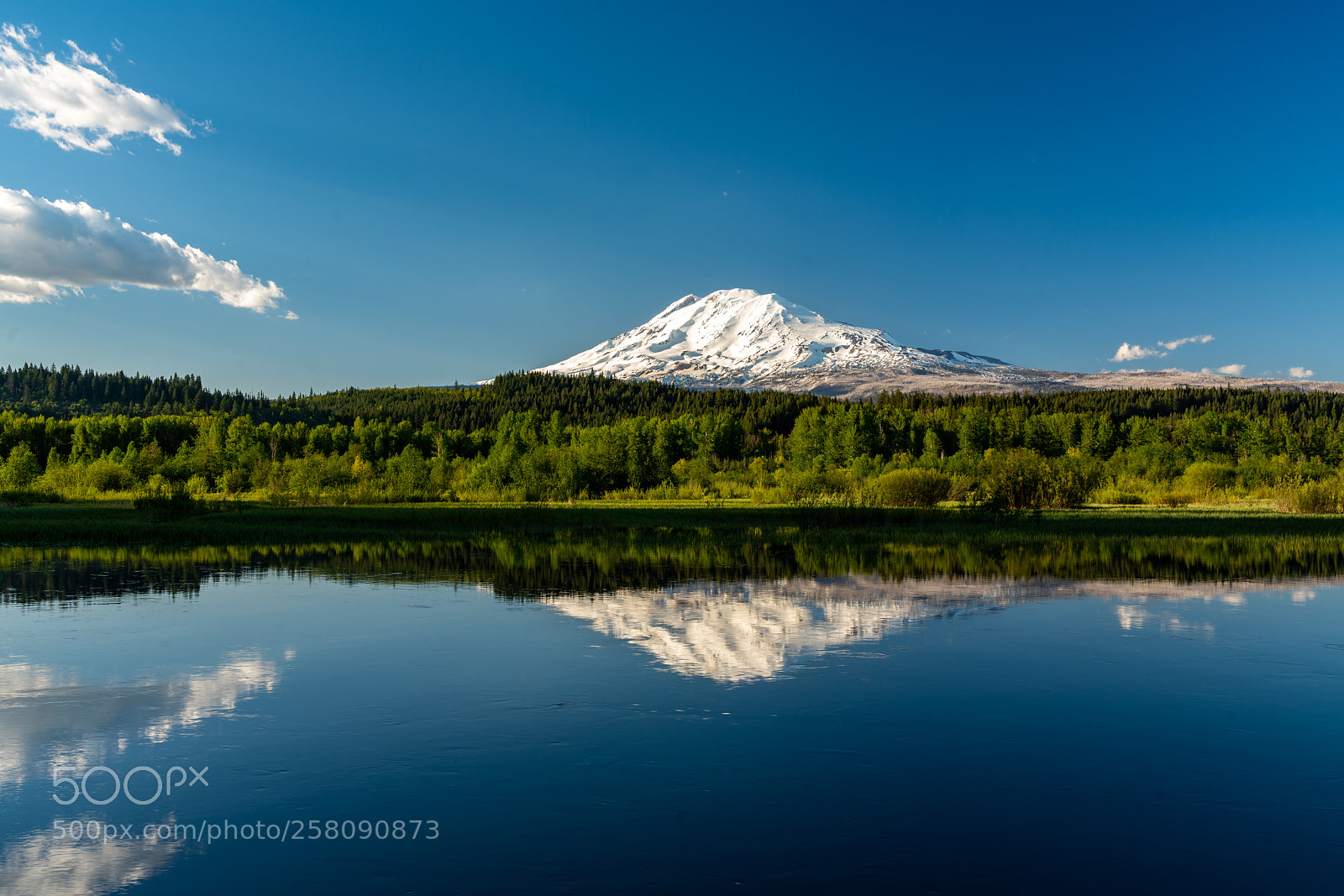 Sony a7R III sample photo. Trout lake photography