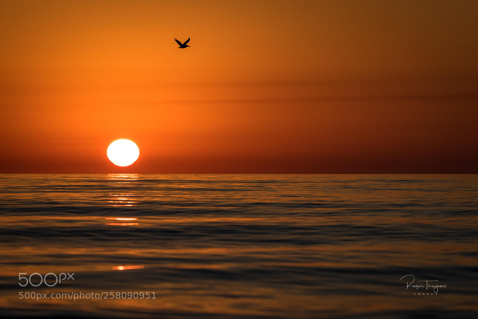 Canon EOS 7D Mark II sample photo. Flsun photography