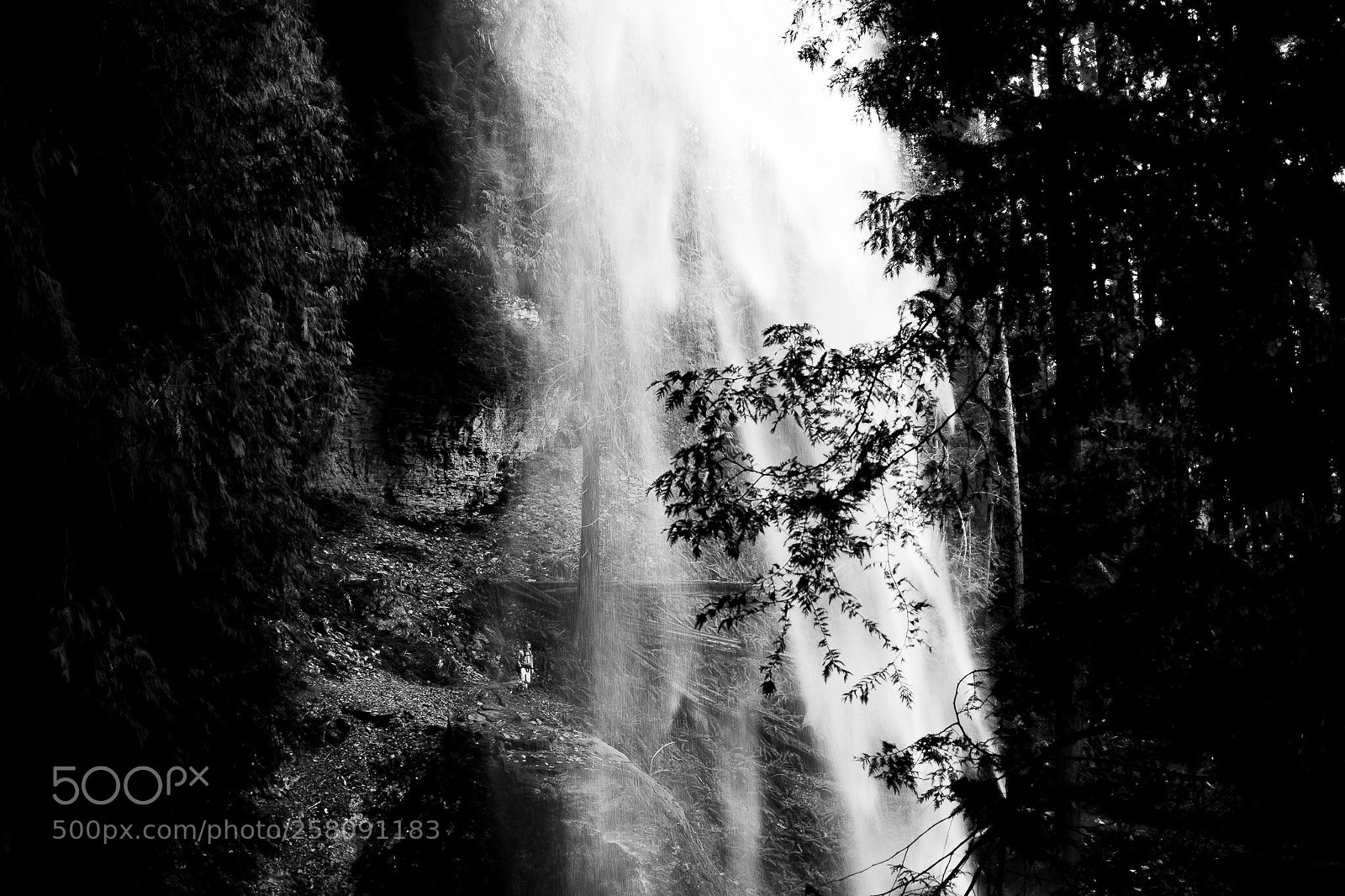 Fujifilm X-Pro1 sample photo. Untitled photography
