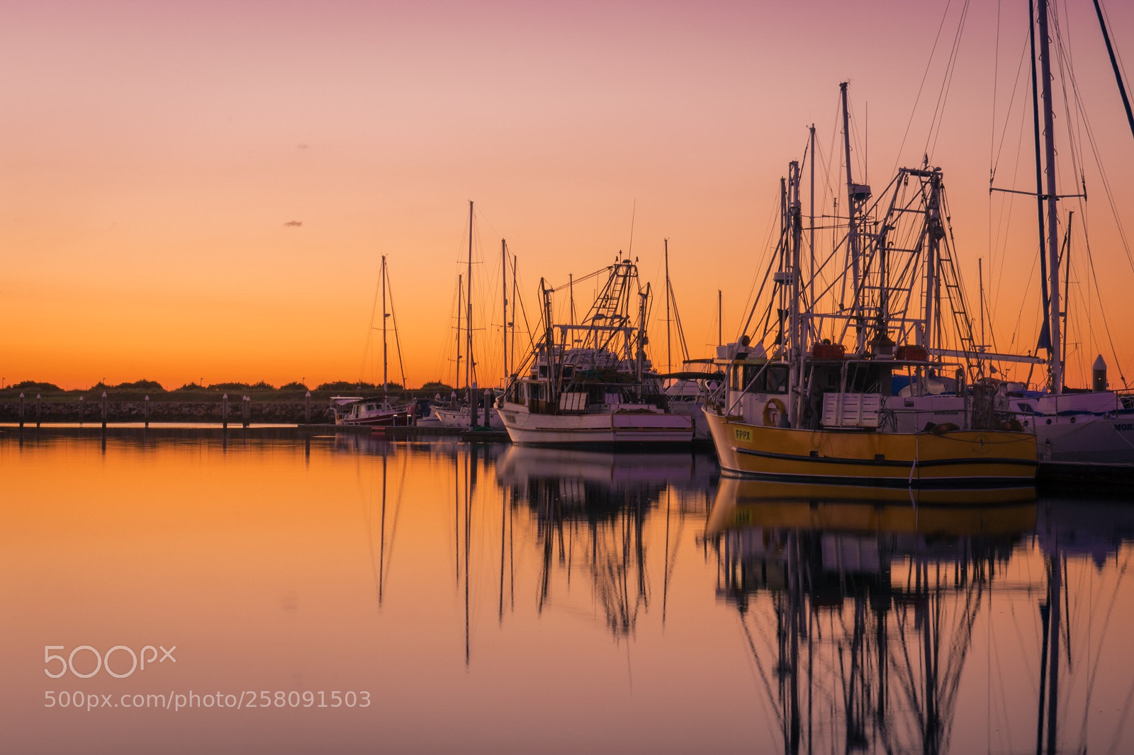 Nikon D3400 sample photo. Golden boats photography