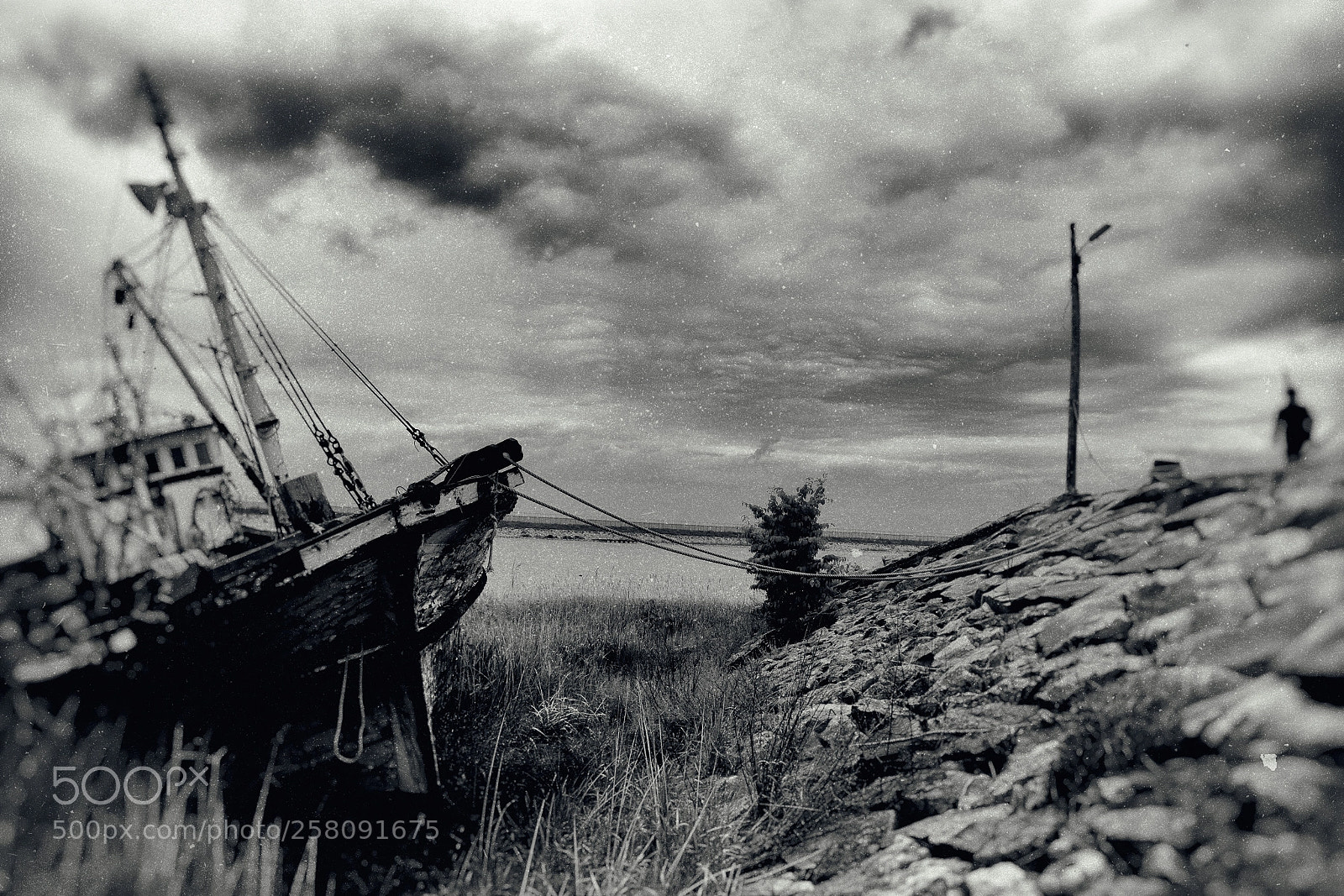 Nikon D810 sample photo. Remains. photography