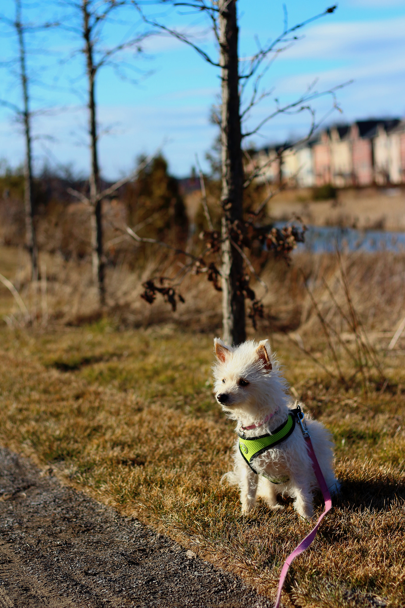 Canon EOS 650D (EOS Rebel T4i / EOS Kiss X6i) sample photo. Mimi photography