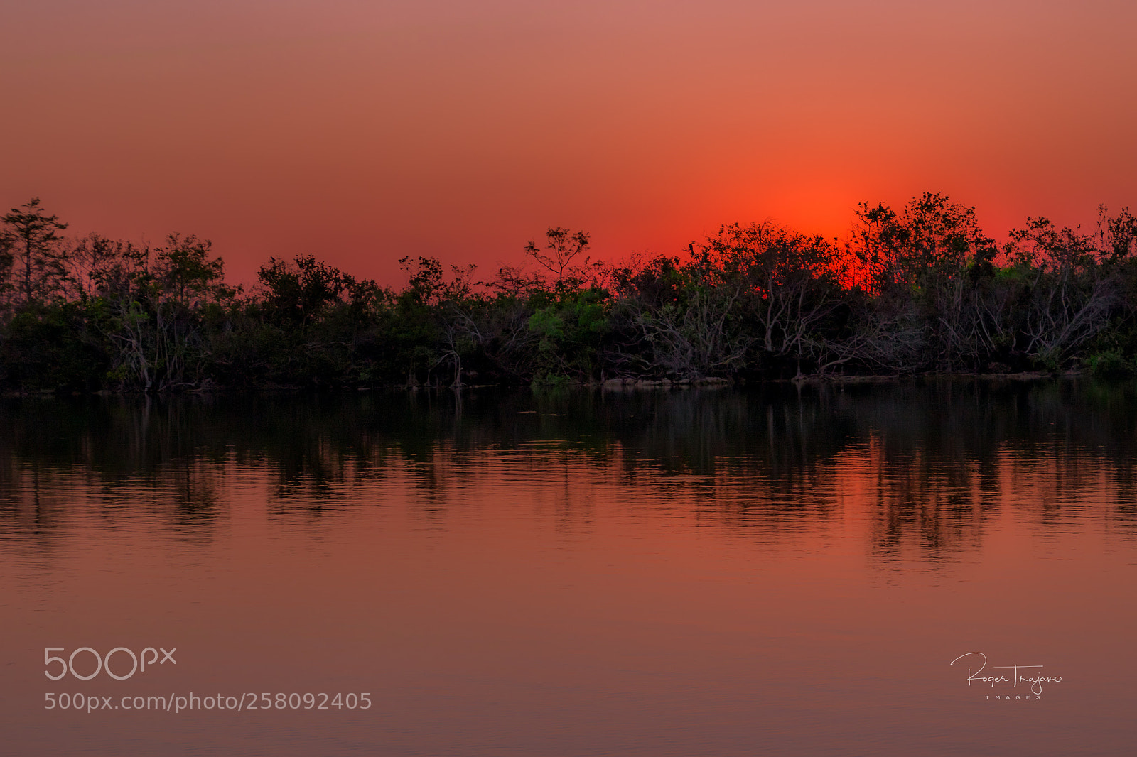 Canon EOS 7D Mark II sample photo. Fl sunset photography