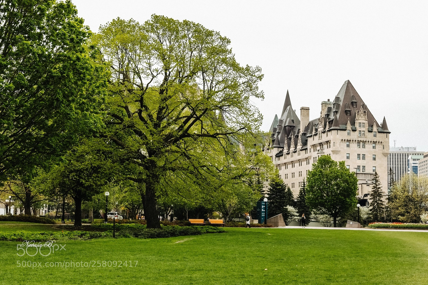 Canon EOS 5D Mark IV sample photo. My green ottawa photography