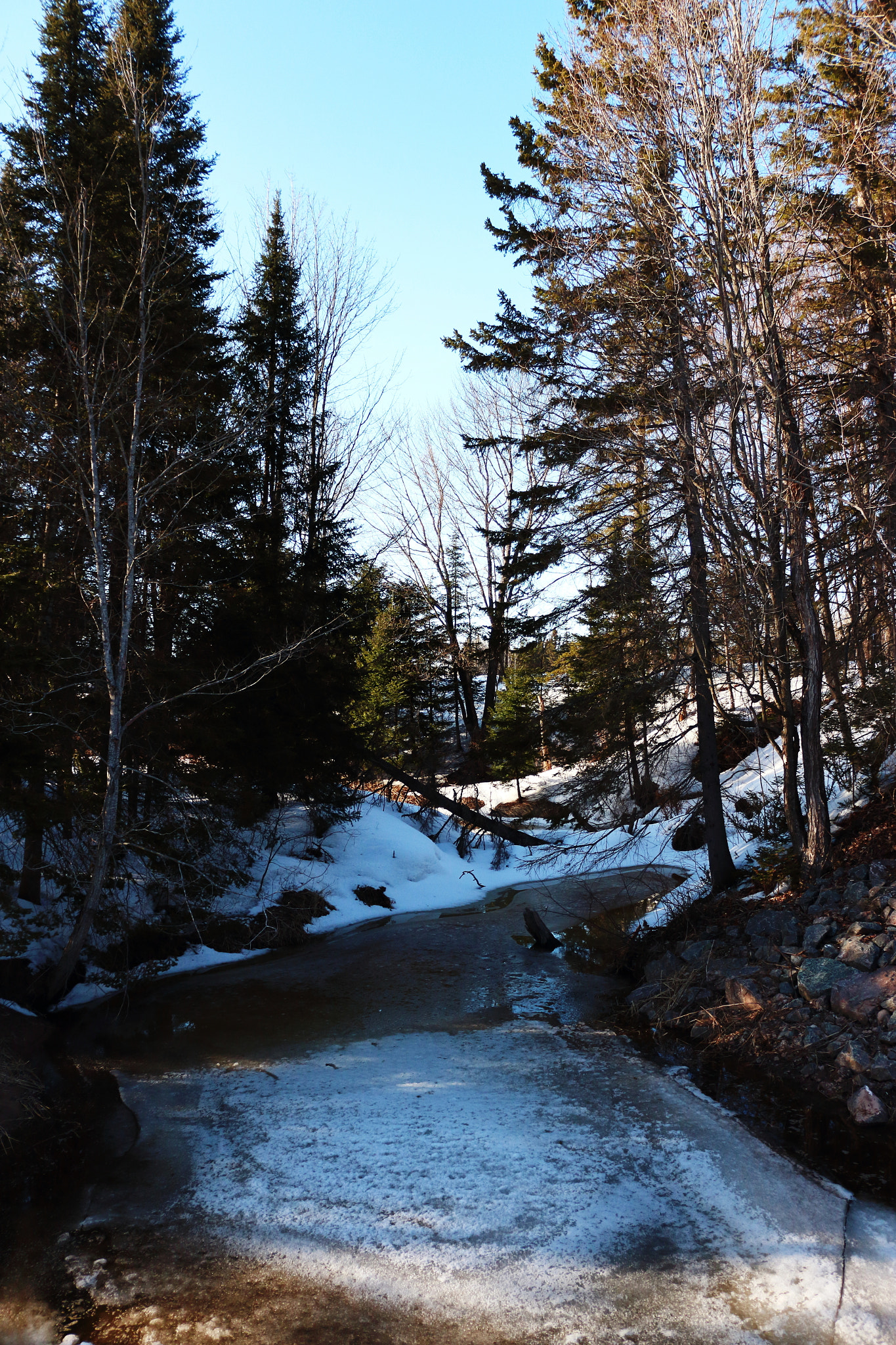 Canon EOS 650D (EOS Rebel T4i / EOS Kiss X6i) sample photo. Ssm creek photography
