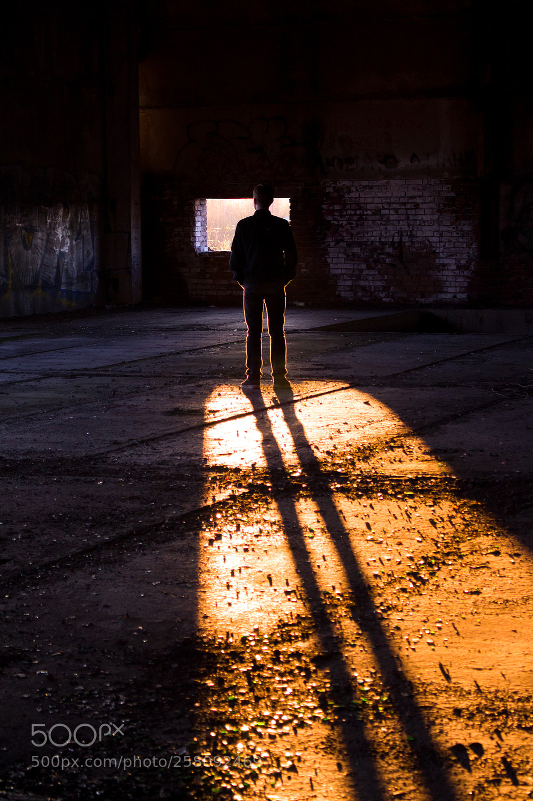 Canon EOS 700D (EOS Rebel T5i / EOS Kiss X7i) sample photo. Just a shadow photography