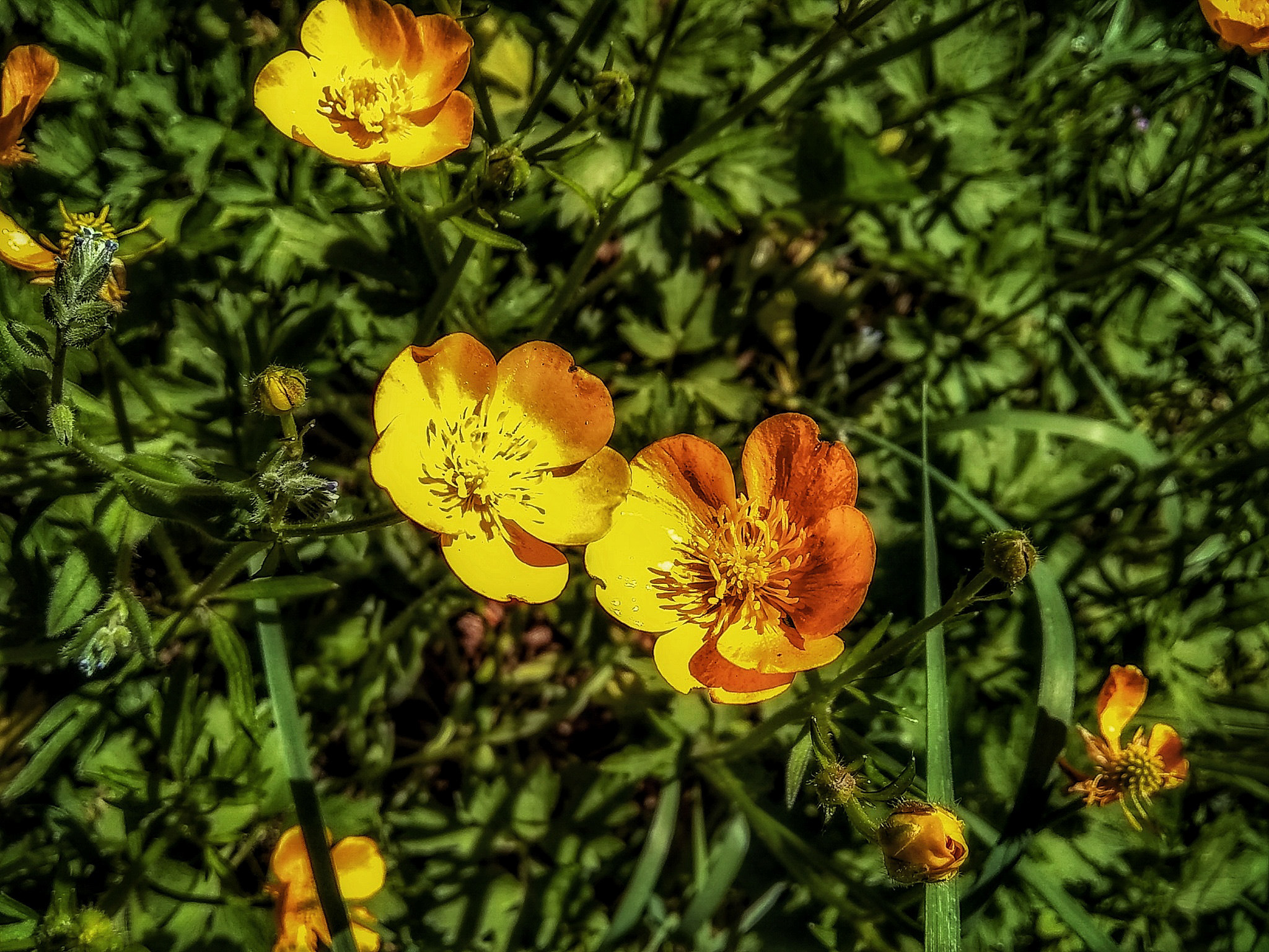 Motorola Moto E4 sample photo