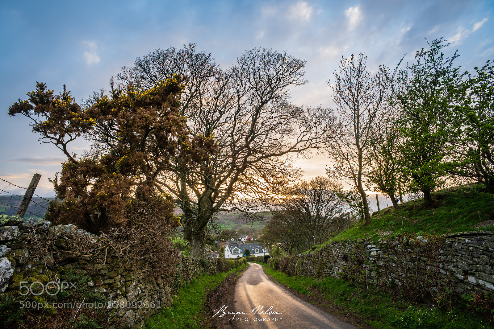 Sony a7R II sample photo. High lorton photography