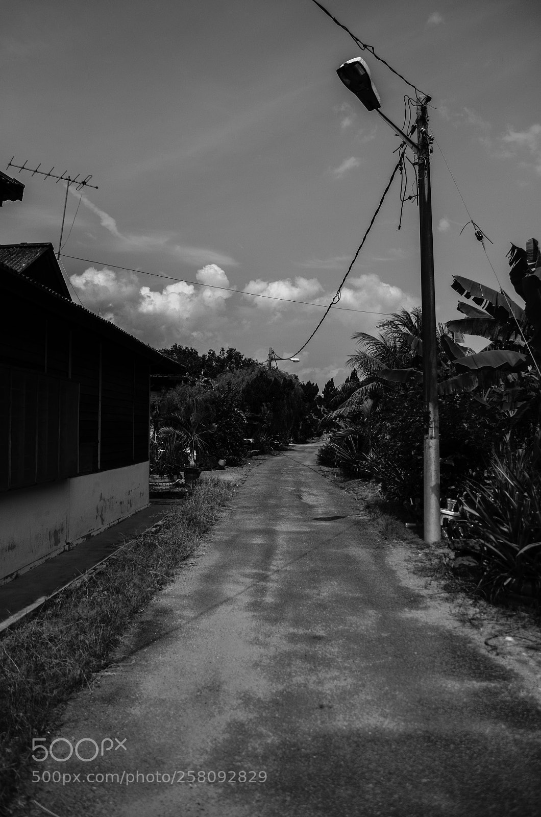 Nikon D7000 sample photo. Village life photography