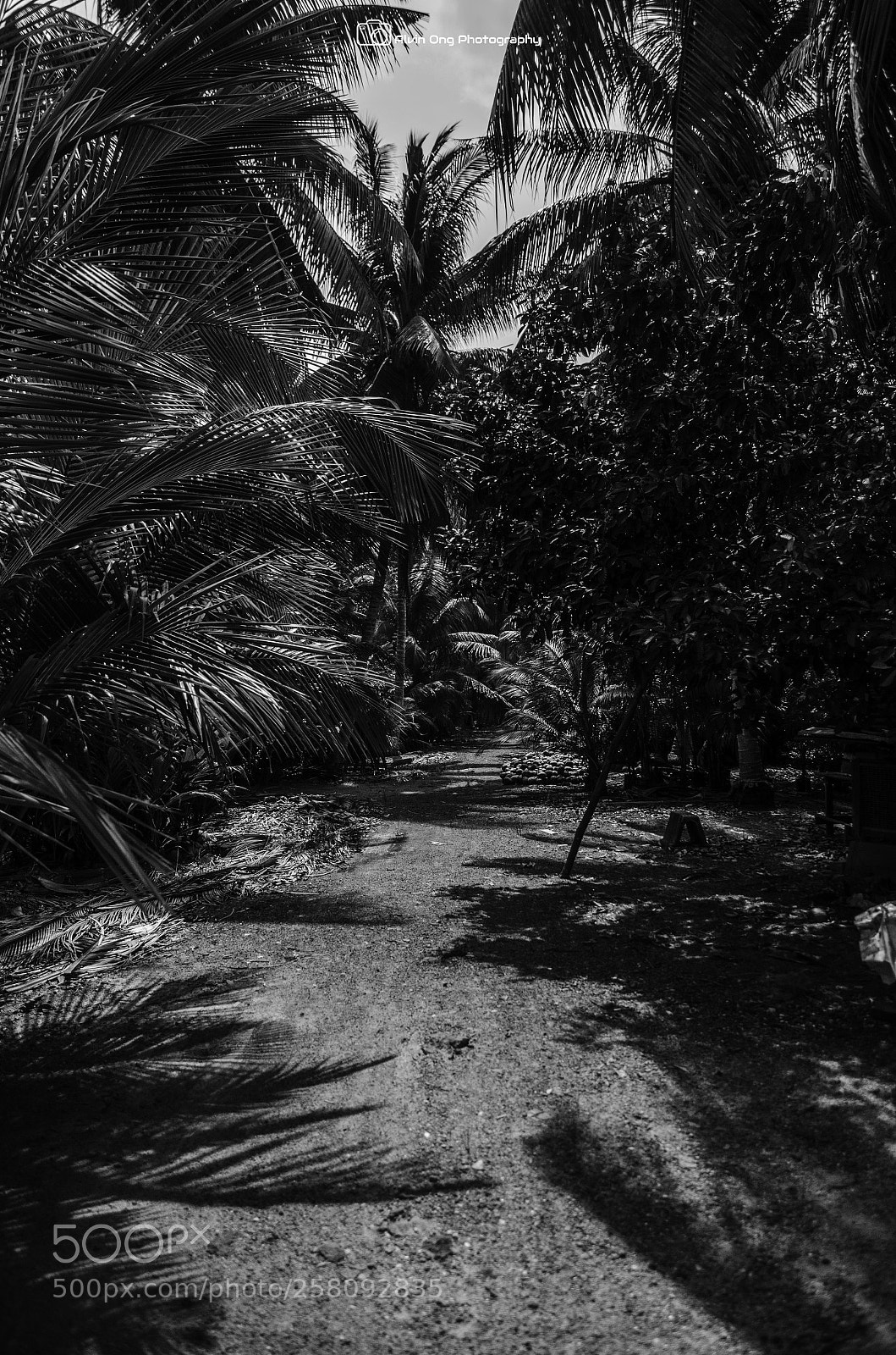 Nikon D7000 sample photo. Village life photography