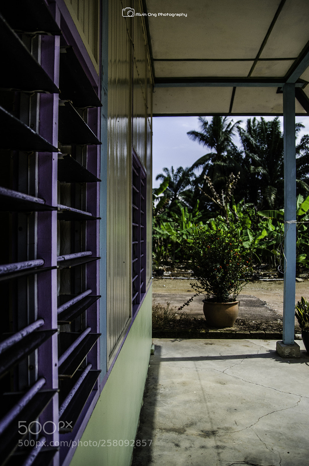 Nikon D7000 sample photo. Village life photography